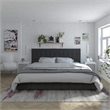 CosmoLiving by Cosmopolitan Elizabeth King Upholstered Bed in Black Velvet