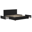 CosmoLiving by Cosmopolitan Elizabeth King Upholstered Bed in Black Velvet