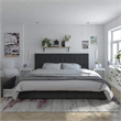 CosmoLiving by Cosmopolitan Elizabeth King Upholstered Bed in Black Velvet
