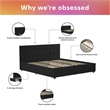 CosmoLiving by Cosmopolitan Elizabeth King Upholstered Bed in Black Velvet