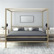 DHP Rory King Metal Canopy Bed in Gold
