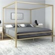 DHP Rory King Metal Canopy Bed in Gold