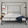 Novogratz Marion Metal Canopy King Platform Bed Frame in Black