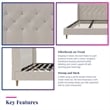 Novogratz Her Majesty Tufted Upholstered King Bed Frame in Ivory Velvet