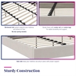 Novogratz Her Majesty Tufted Upholstered King Bed Frame in Ivory Velvet