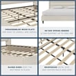 Novogratz Louis King Upholstered Bed Frame with High Tufted Headboard in Ivory