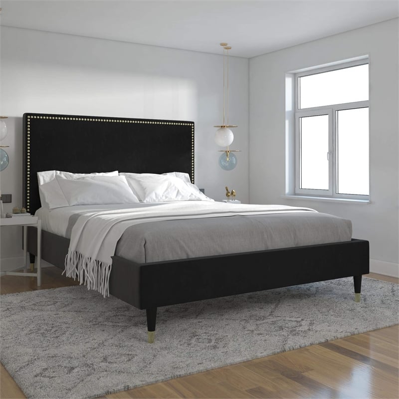 CosmoLiving by Cosmopolitan Audrey Queen Upholstered Bed in Black Velvet