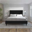 CosmoLiving by Cosmopolitan Audrey Queen Upholstered Bed in Black Velvet