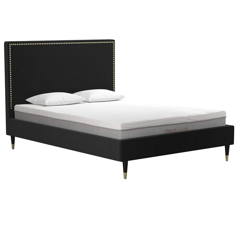 CosmoLiving by Cosmopolitan Audrey Queen Upholstered Bed in Black Velvet