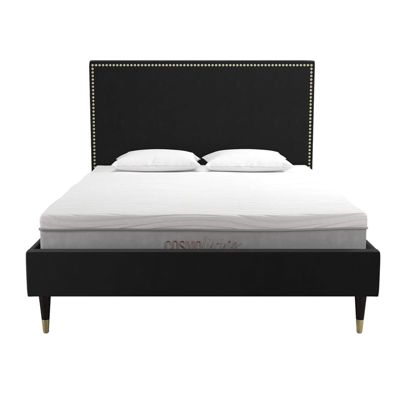 CosmoLiving by Cosmopolitan Audrey Queen Upholstered Bed in Black Velvet