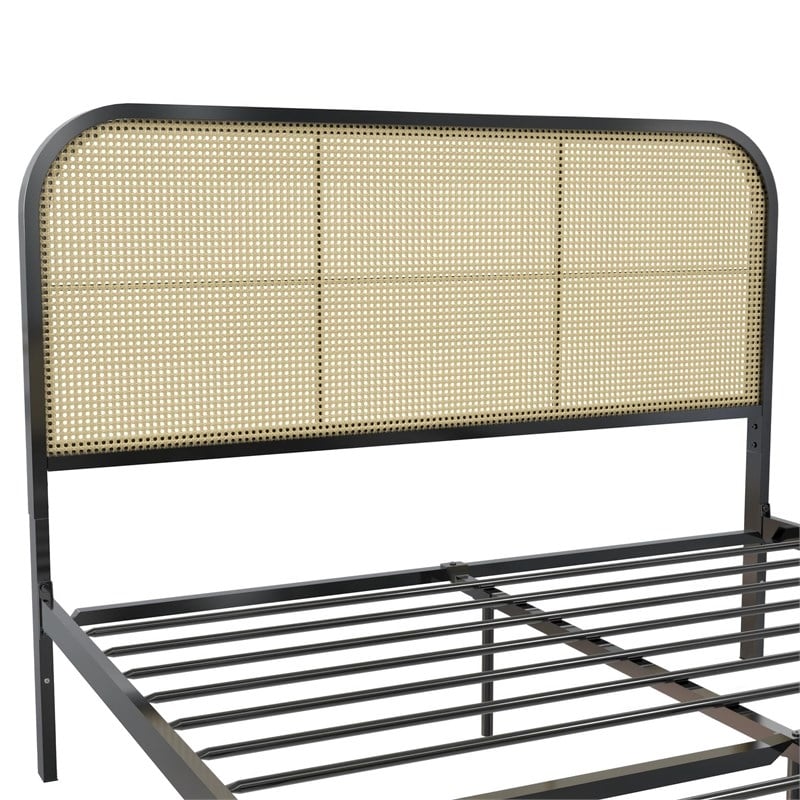 Mr. Kate Roxanne Queen Metal Platform Bed Frame w/Cane Headboard in Black