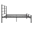 Mr. Kate MacKenzie Queen Metal Platform Bed Frame w/3 Adjustable Heights - Black