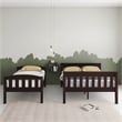 Dorel Living Airlie Twin over Full Bunk Bed in Espresso