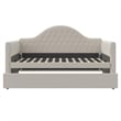 Little Seeds Rowan Valley Arden Twin Daybed with Trundle in Dove Gray