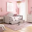 Little Seeds Rowan Valley Arden Twin Daybed with Trundle in Dove Gray