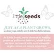 Little Seeds Finch Toddler Rail Conversion Kit for Crib in Rustic Gray