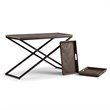 Simpli Home Damien Console Table in Distressed Natural Elm