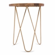 Patrice Modern 18 inch Wide Metal and Wood Accent Side Table in Natural Gold