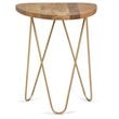 Patrice Modern 18 inch Wide Metal and Wood Accent Side Table in Natural Gold