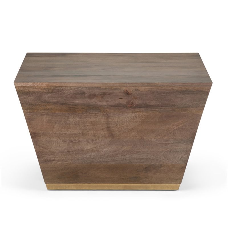 Simpli Home Abba Solid Wood and Brass Square Coffee Table in Dark Brown