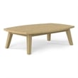 Parkside 45 inch Wide Contemporary Outdoor Coffee Table in Light Teak