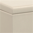 Simpli Home Avalon Contemporary Faux Leather Storage Ottoman Bench in Cream