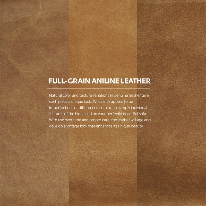 Livingston 76 inch Wide Modern Sofa in Sienna Top Grain Genuine Leather