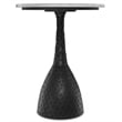 Myles Modern 16 inch Wide Metal Side Table in Black & Fully Assembled