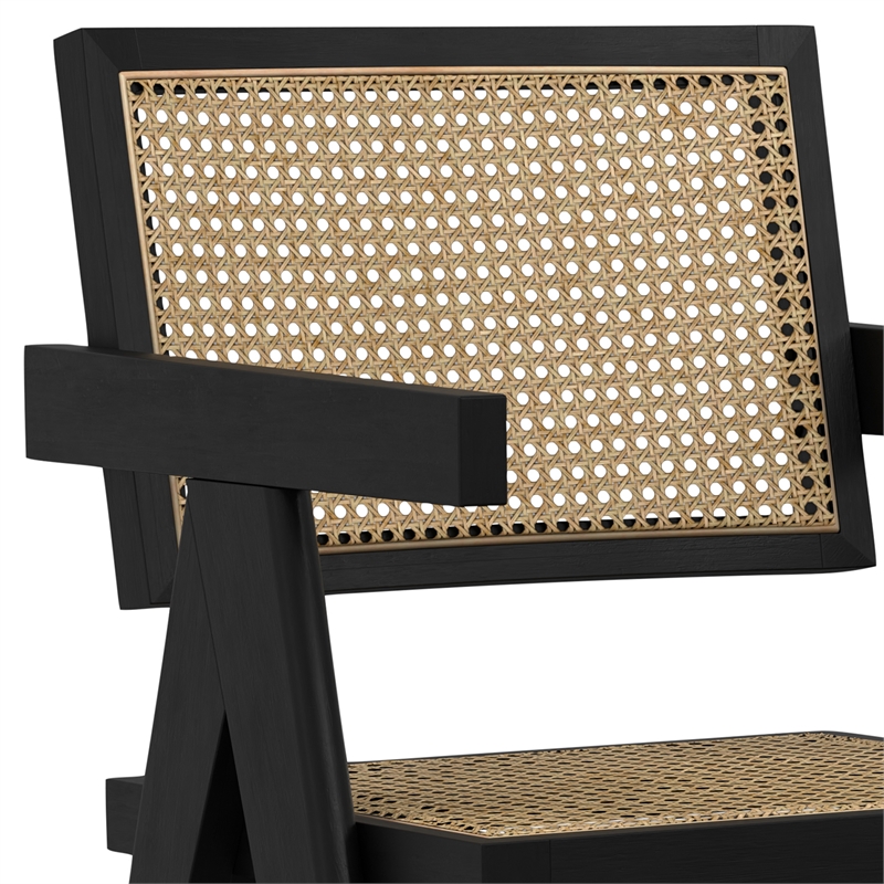 Regina  Contemporary Dining Arm Chair (Set of 2) in Black