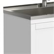 Reed 36-inch Utility Sink & Cabinet in Pure White