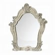 ACME Versailles Arched Top Wood Frame Bedroom Mirror in Bone White