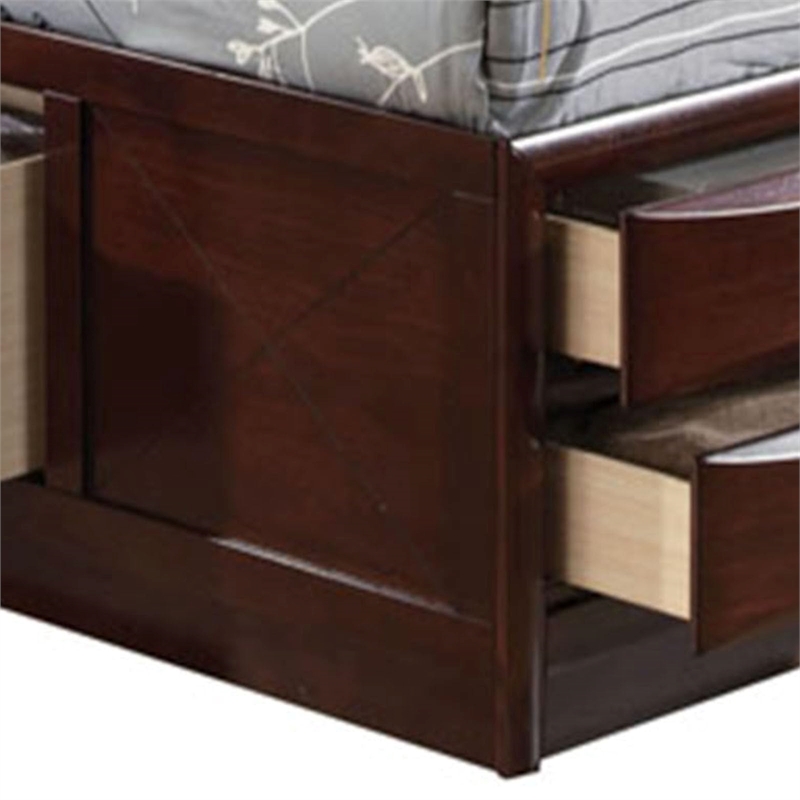 ACME Ireland Queen Storage Bed in Espresso
