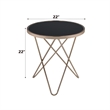 ACME Valora End Table in Black Glass and Champagne