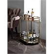 ACME Lacole Metal Frame Serving Cart with Bottom Shelf in Gold and Mirrored