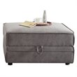 ACME Bois Velvet Storage Ottoman in Gray