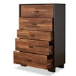 ACME Eloy Wooden Rectangular Chest with 5 Storage Drawers in Walnut and Espresso