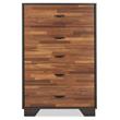 ACME Eloy Wooden Rectangular Chest with 5 Storage Drawers in Walnut and Espresso