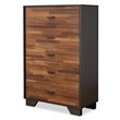 ACME Eloy Wooden Rectangular Chest with 5 Storage Drawers in Walnut and Espresso