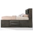 ACME Ireland Queen Wooden Captain's Bed with Storage Drawers in Gray Oak