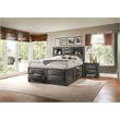 ACME Ireland Queen Wooden Captain's Bed with Storage Drawers in Gray Oak