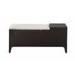 ACME Boyet 1-Drawer Wooden Bench with 2 Compartments in Black