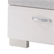 ACME Naima II Wood and Metal 2-Drawers Bedroom Nightstand in White