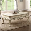 ACME Ragenardus 2-Drawer Wooden Top Storage Coffee Table in Antique White