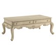 ACME Ragenardus 2-Drawer Wooden Top Storage Coffee Table in Antique White