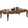 ACME Furniture Orianne Rectangular Wood Accent Coffee Table in Antique Gold