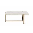 ACME Feit Rectangular Wooden Top Coffee Table in Chrome and White