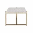 ACME Feit Rectangular Wooden Top Coffee Table in Chrome and White