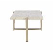 ACME Feit Rectangular Wooden Top Coffee Table in Chrome and White