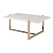 ACME Feit Rectangular Wooden Top Coffee Table in Chrome and White