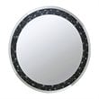 ACME Noor Accent Mirror (Wall) in Mirrored